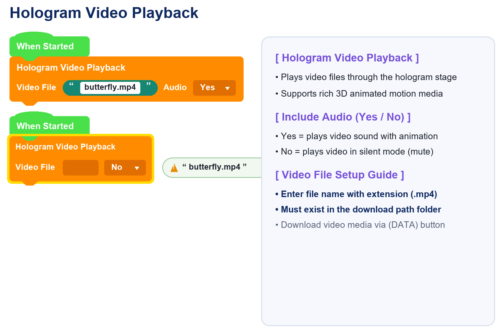 Hologram Video Playback